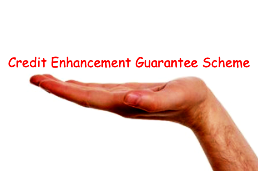 Credit Enhancement Guarantee Scheme