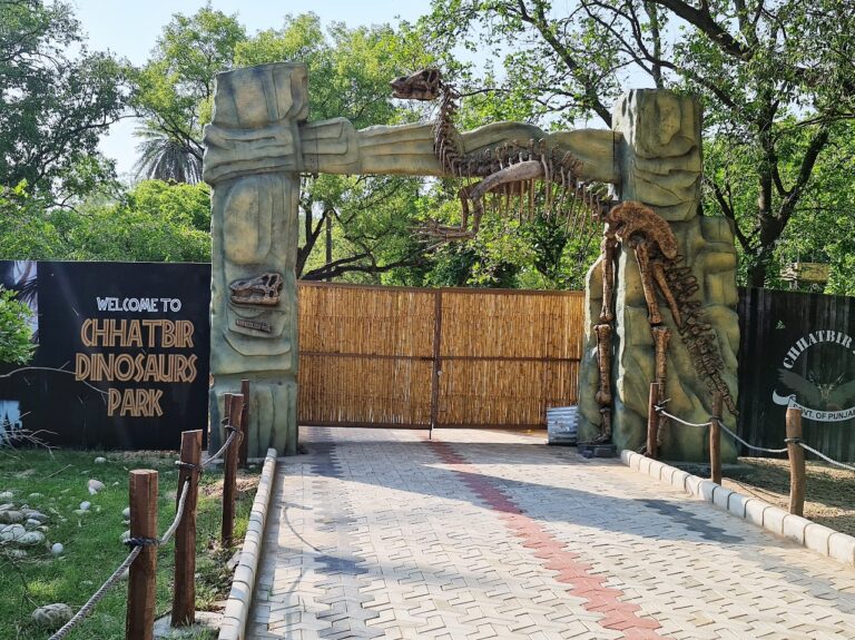 Over 90,000 school students visited Chhatbir Zoo in one year