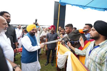 ਬੈਲ ਗੱਡੀਆਂ ਦੀਆਂ ਦੌੜਾਂ