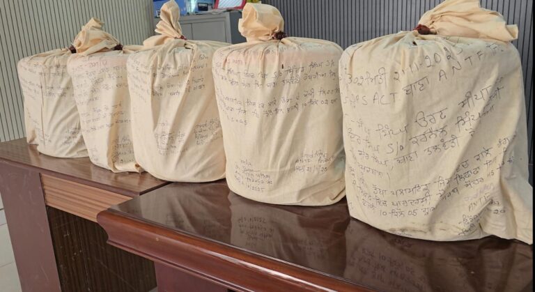 WhatsApp Image 2025-11-22 at 5.21.24 PM